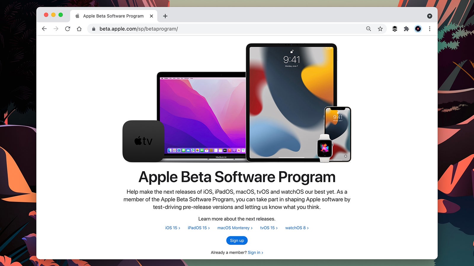 xbox beta app for mac